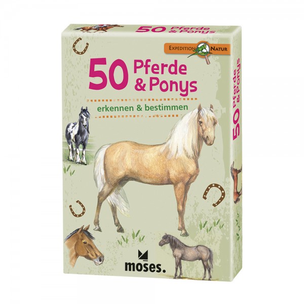 Kartenset 50 Pferde & Ponys Rassen