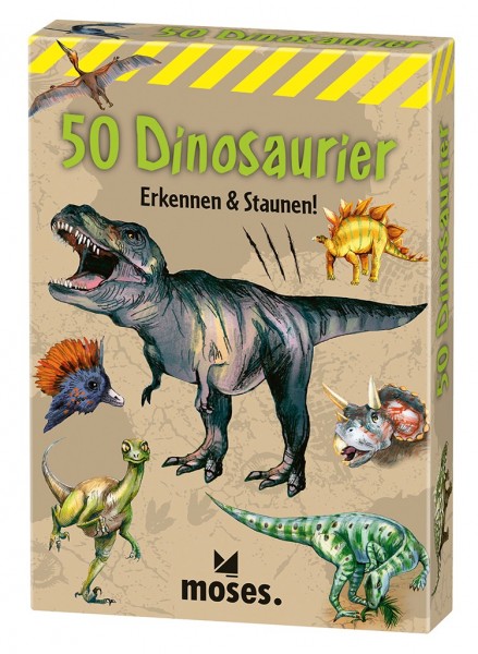 Kartenset 50 Dinosaurier