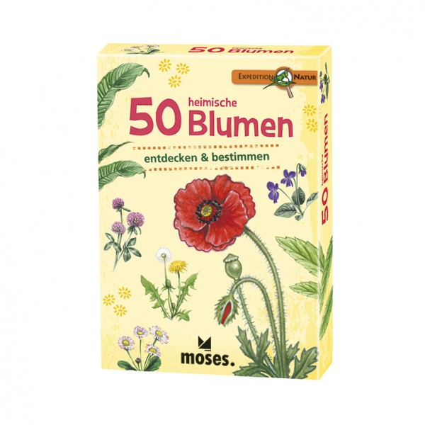Kartenset 50 heimische Blumen bestimmen