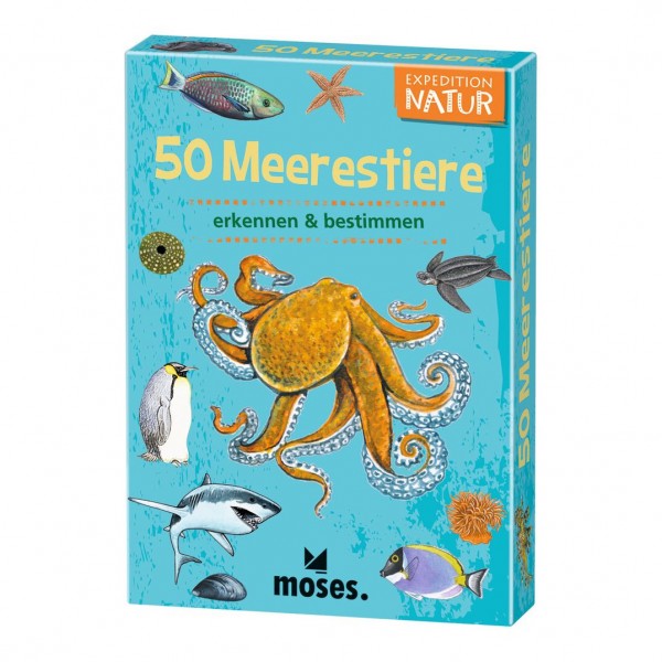Kartenset 50 Meerestiere